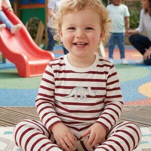 Classic Stripe Triceratops Set